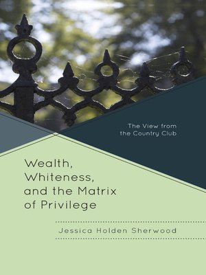 cover image of Wealth, Whiteness, and the Matrix of Privilege